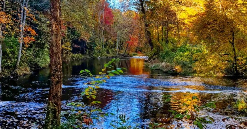 Pomeroy State Park Scenic Reserve, Connecticut, USA
